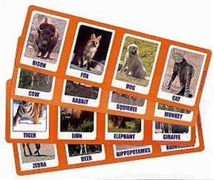 Animal Magnetism - Titan Magic & Brain Busters Escape Rooms