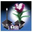 Appearing Flower - Titan Magic & Brain Busters Escape Rooms