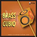 Brass Cubio - Titan Magic & Brain Busters Escape Rooms
