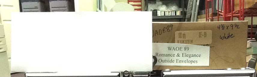 Outside 4 1/8” x 9 1/2” Invitation Envelopes White