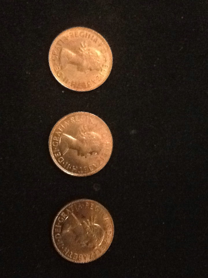 English penny 3 fly - Titan Magic & Brain Busters Escape Rooms