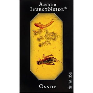 Insect Amber Brittle - Titan Magic & Brain Busters Escape Rooms