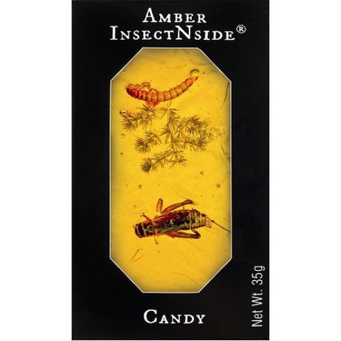Insect Amber Brittle - Titan Magic & Brain Busters Escape Rooms