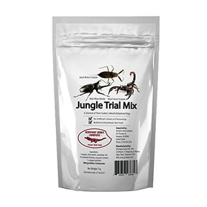 Jungle Trail Mix - Titan Magic & Brain Busters Escape Rooms